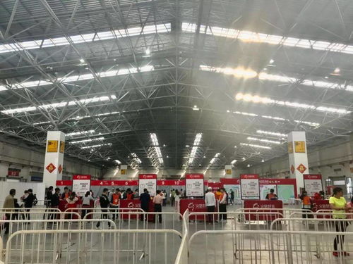 萬(wàn)人齊聚 共赴征途——2020義烏馬拉松報(bào)名正式啟動(dòng)